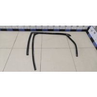 Уплотнитель стекла двери FORD Focus II 2008-2011 1743914