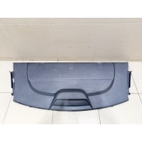 Полка Chevrolet Aveo (T300) 2011> 95481293