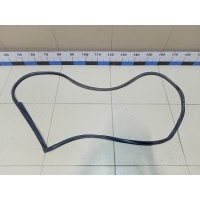 Уплотнитель двери Chevrolet Lacetti 2003-2013 96548234