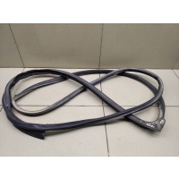 Уплотнитель двери Chevrolet Aveo (T250) 2005-2011 96649136