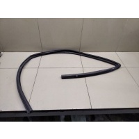 Уплотнитель стекла двери Chevrolet Aveo (T250) 2005-2011 95980733