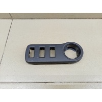 Накладка (кузов внутри) RENAULT Duster 2012> 251635247R