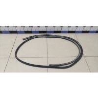 Уплотнитель двери FORD Focus II 2008-2011 1495866