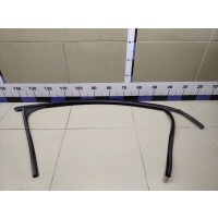 Уплотнитель стекла двери FORD Focus II 2005-2008 1685043