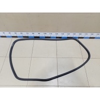 Уплотнитель двери VW Tiguan 2011-2016 5N0867913A9B9