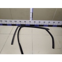 Уплотнитель стекла двери FORD Focus II 2008-2011 1743083