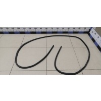 Уплотнитель двери FORD Focus II 2005-2008 1495864