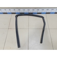 Уплотнитель стекла двери NISSAN Qashqai (J10) 2006-2014 82330JD24B