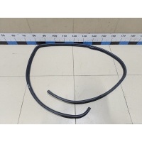 Уплотнитель двери KIA Cerato 2009-2013 831101M000
