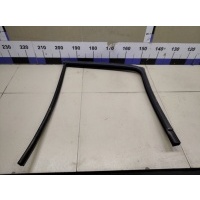 Уплотнитель стекла двери RENAULT Clio/Symbol 1998-2008 7701205829