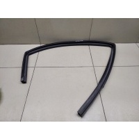 Уплотнитель стекла двери Chevrolet Aveo (T250) 2005-2011 95980742