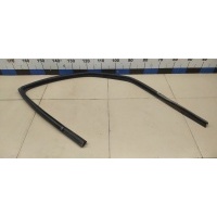 Уплотнитель стекла двери RENAULT Logan 2005-2014 823316397R