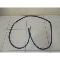 Уплотнитель двери FORD Focus II 2008-2011 1495866