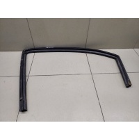 Уплотнитель стекла двери Chevrolet Aveo (T250) 2005-2011 95980741