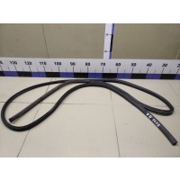 Уплотнитель двери FORD Focus II 2005-2008 1495864