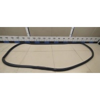 Уплотнитель двери NISSAN Almera (G15) 2013> 769214AA0B