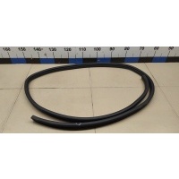 Уплотнитель двери HYUNDAI Solaris 2010-2017 831104L000