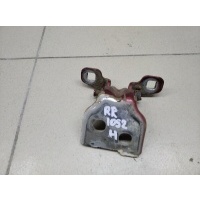 Петля двери RENAULT Sandero 2009-2014 6001546883