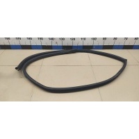 Уплотнитель двери NISSAN Almera (G15) 2013> 769244AA0B