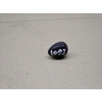 Форсунка омывателя лобового стекла RENAULT Duster 2012> 289321198R