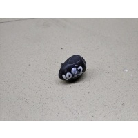 Форсунка омывателя лобового стекла RENAULT Duster 2012> 289321198R