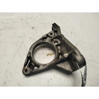 Кронштейн крепления Renault Scenic II (2003-2009) 2006 187335