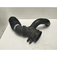 Гофра инжектора Renault Scenic II (2003-2009) 2006 8200186822