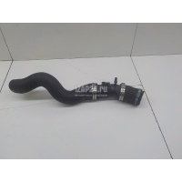 Патрубок интеркулера Ford Focus III (2011 - 2019) 1877723
