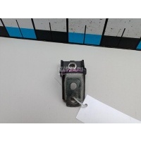 Петля двери Renault Scenic III (2009 - 2015) 821773161R