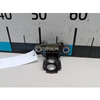 Петля двери Renault Scenic III (2009 - 2015) 804804993R