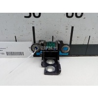 Петля двери Renault Scenic III (2009 - 2015) 804804993R