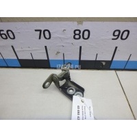Петля двери Nissan Juke (F15) (2011 - 2019) 824201KA0A