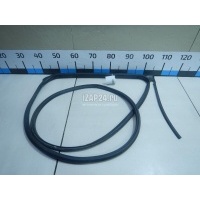 Уплотнитель двери Nissan Juke (F15) (2011 - 2019) 828311KA0A