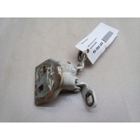 Петля двери VAZ Lada Largus 2012 6001546883