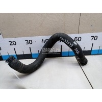Патрубок радиатора Nissan Qashqai+2 (JJ10) (2008 - 2014) 21501JD200