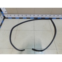 Уплотнитель двери HYUNDAI Sonata V (NF) 2005-2010 821103K000HZ