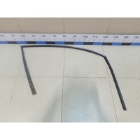 Уплотнитель стекла двери HYUNDAI Sonata V (NF) 2005-2010 825303K000