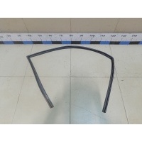 Уплотнитель стекла двери HYUNDAI Sonata V (NF) 2005-2010 825403K000