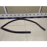 Уплотнитель стекла двери VAZ Chevrolet NIVA 2123610329901