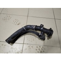 Горловина топливного бака VAZ Chevrolet NIVA 21231101068