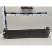 Интеркулер Ford C-MAX (2010 - 2019) 1862383