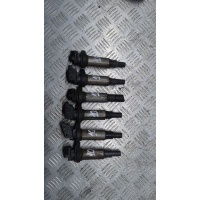 Катушка зажигания BMW 3 E46 2004 0221504100
