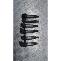 Катушка зажигания BMW 5 E39 2002 0221504100