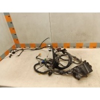 Проводка подкапотная Lifan X50 W215 2017 ABD4001600B1