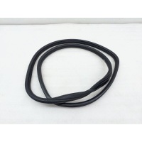 Уплотнитель проема двери BMW X6M E71 2012 51727333606, 7333606
