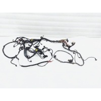 Проводка двигателя BMW X6M E71 2012 12517601325, 12517601308