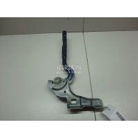 Петля капота правая Citroen-Peugeot DS4 (2011 - 2015) 791351