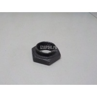Гайка хвостовика VAG Alhambra (2000 - 2010) 097409379