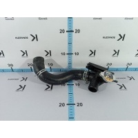 Горловина радиатора Hyundai Elantra Avante CN7 2020 25329AA000, 25415AA100, 25330B1000