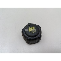 Крышка расширительного бачка Renault Duster 2012 8200048024